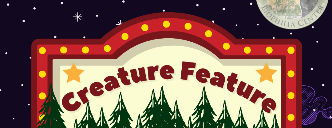 Creature Features